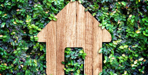 Le diagnostic termites